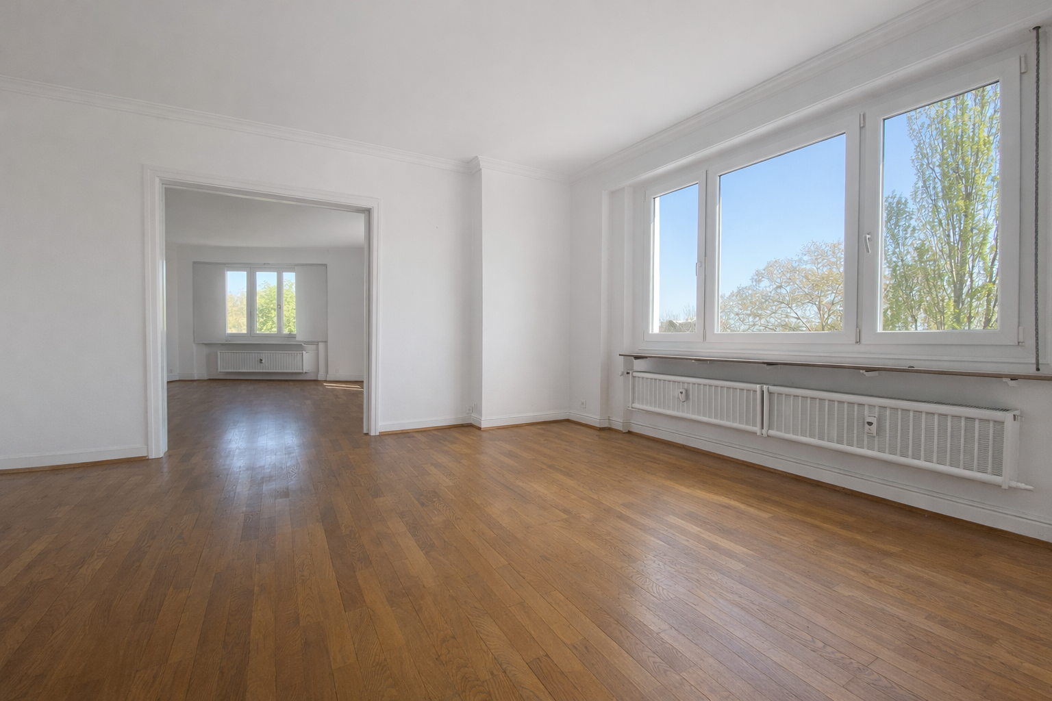 salon et séjour, terrasse, 1 rue Turenne 67000 STRASBOURG