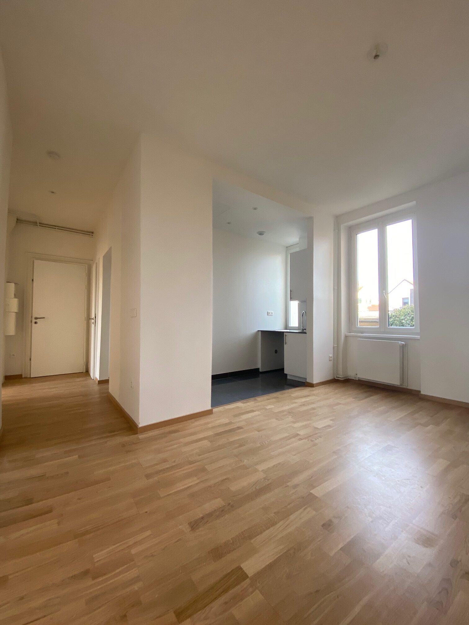 Séjour, appartement 3p RD0, 10 rue du commandant Reibel 67000 STRASBOURG