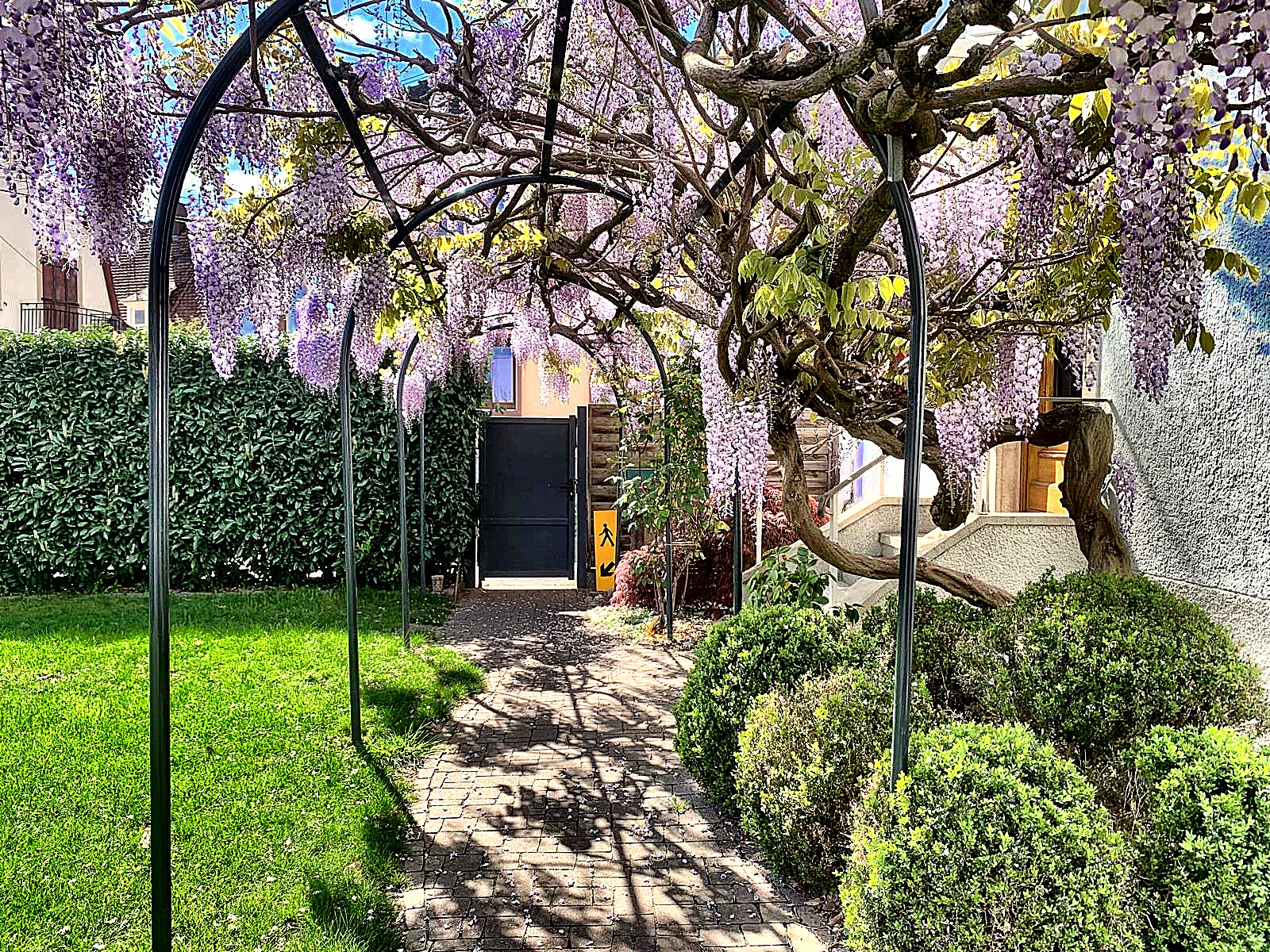 jardin, rue de la tanche 67000 STRASBOURG